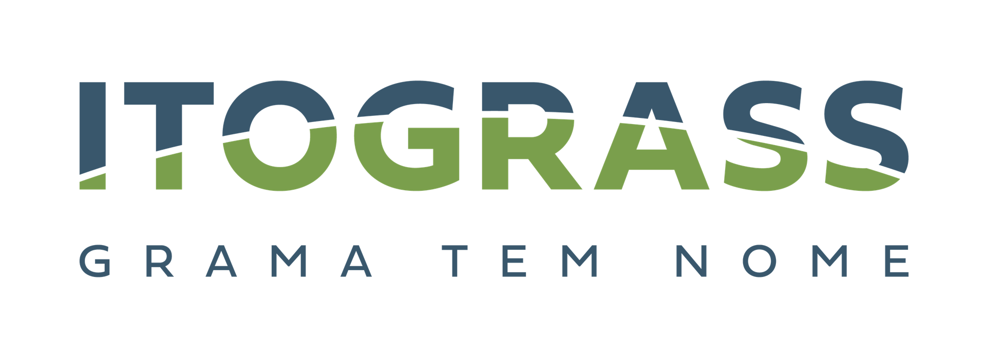 Logo Itograss